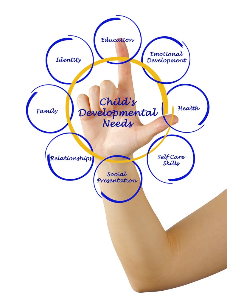 Child's Developmental Needs